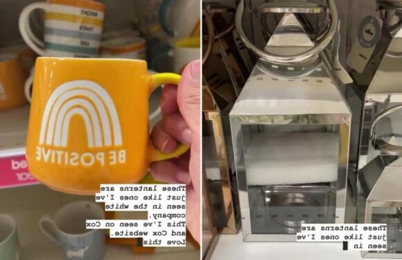 I'm an interior designer and Wilko has the best high-end homeware dupes – including fancy lanterns for a third less | The Sun