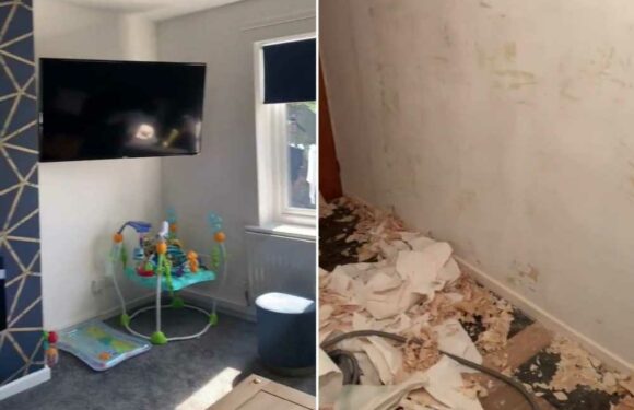 I've given my dull council house an epic transformation – I used a Wilko bargain buy and it looks so fantastic now | The Sun