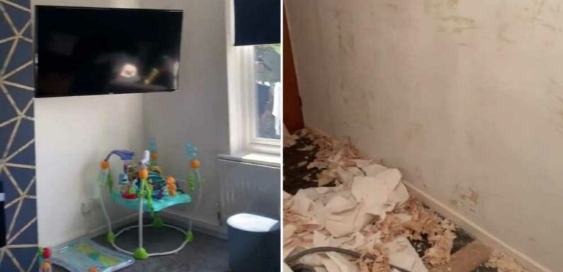I've given my dull council house an epic transformation – I used a Wilko bargain buy and it looks so fantastic now | The Sun