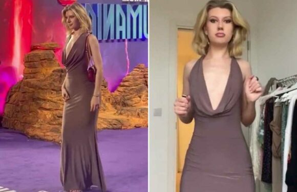 I've got itty bitty t*tties and want to show people that women with A cups can wear low cut dresses too | The Sun