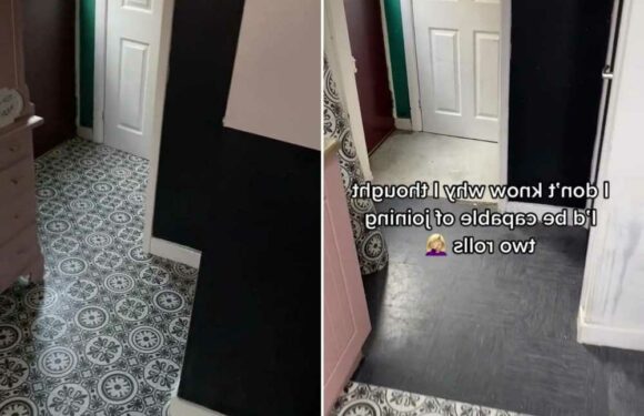 I've had my council house for 12 years & finally updated my kitchen with B&M flooring – trolls say it won’t last | The Sun