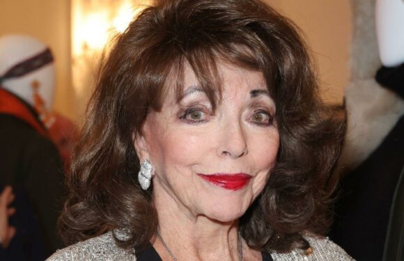 Joan Collins hasnt aged since 1980s throwback with Rod Stewarts ex