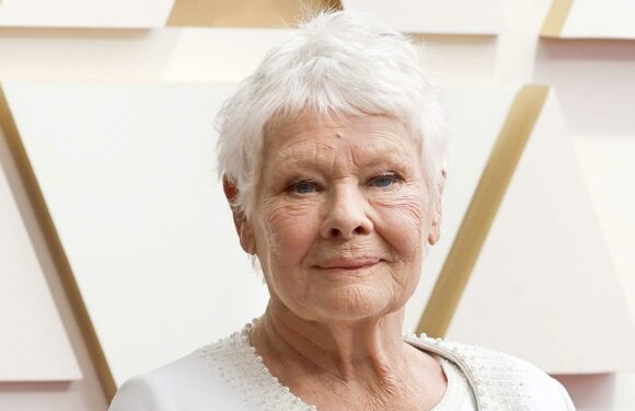 Judi Dench Says It's 'Impossible' for Her to Act Because of Eyesight Loss