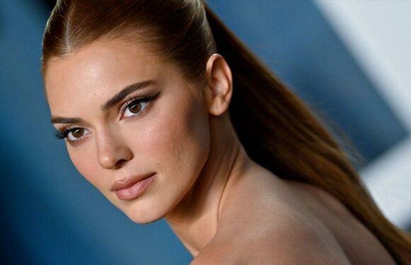 Kendall Jenner Lounges by the Beach in a Cutout Illusion Dress