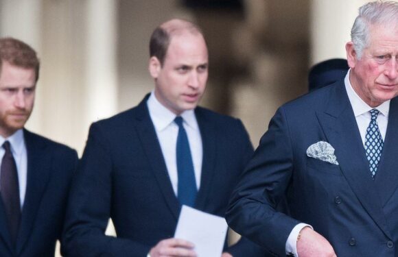 King Charles’ Harry and William coronation plan ‘rife with problems’, expert claims