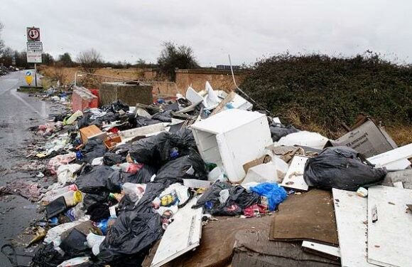 Labour government would enforce crackdown on fly-tipping