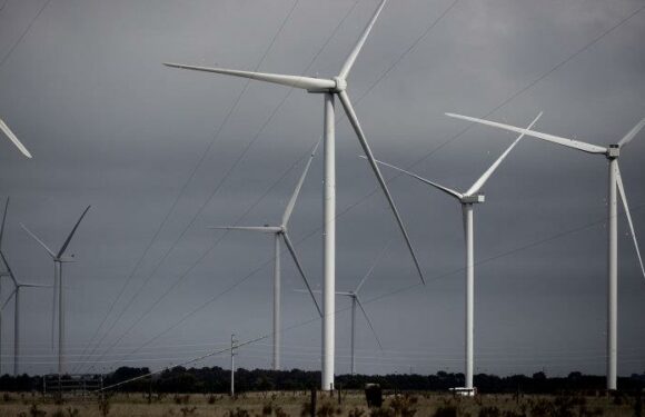 Landholders offered $8000 sweetener for power line disruption