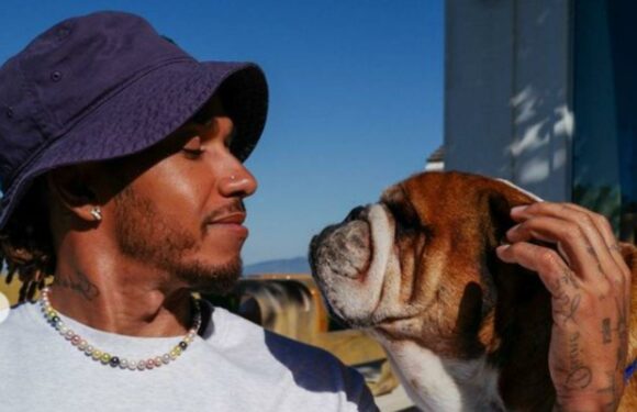 Lewis Hamilton blasted by followers over dog’s controversial outfit
