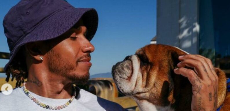 Lewis Hamilton blasted by followers over dog’s controversial outfit