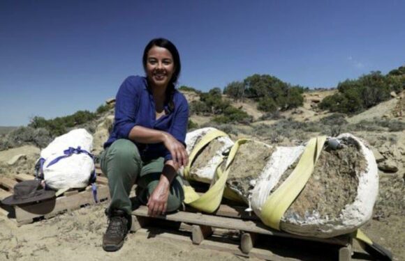Liz Bonnin on techniques used to uncover fossils of Jurassic Mile