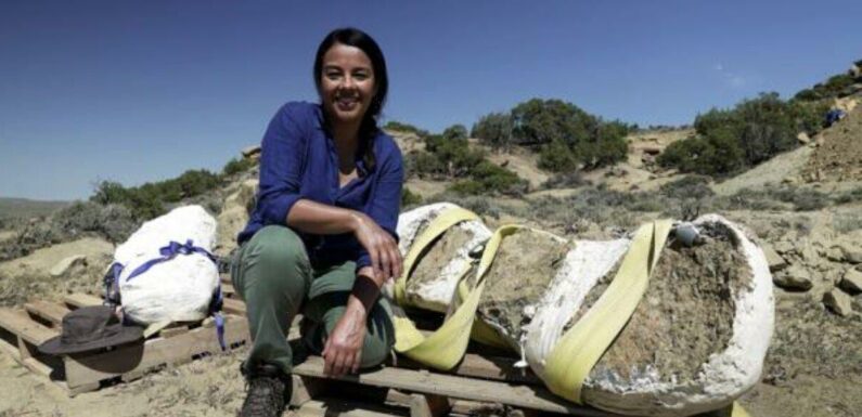 Liz Bonnin on techniques used to uncover fossils of Jurassic Mile