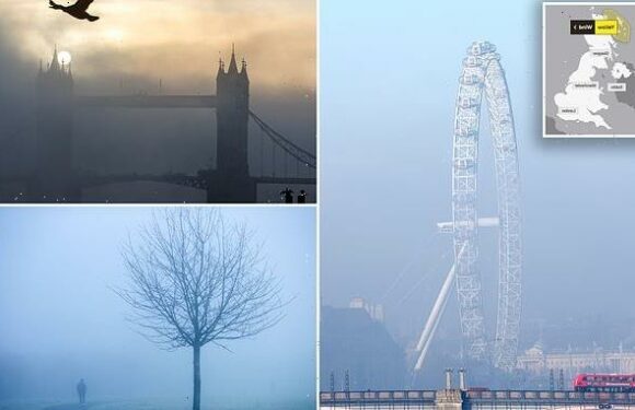 London's thick fog causes travel chaos as flights are cancelled
