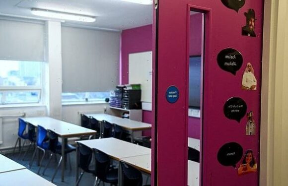 MARK LEHAIN: Striking teachers are sacrificing pupils for politics