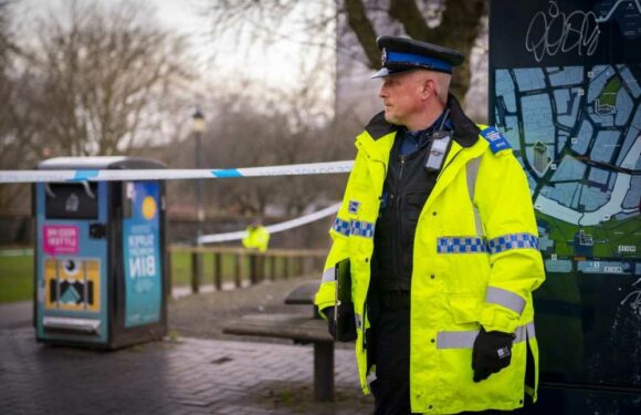 Man in 30s dead after horror stabbing as cops launch murder probe | The Sun