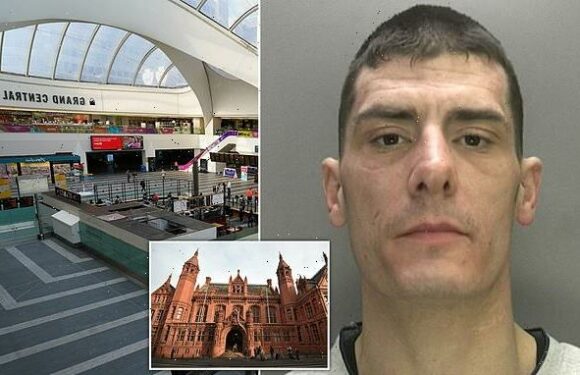 Man who attacked woman in the toilets claimed he identified as female