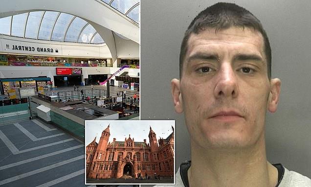 Man who attacked woman in the toilets claimed he identified as female
