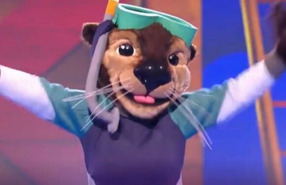 Masked Singer fans ‘rumble’ Otter’s identity as Bake Off star after guinea pig clue