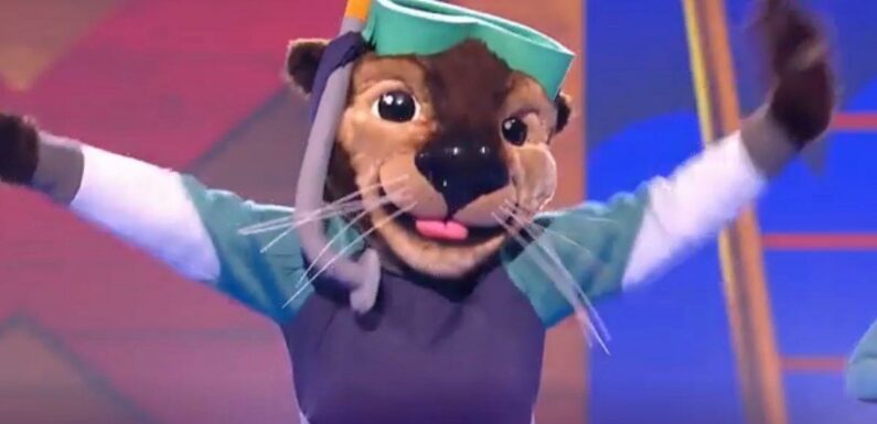 Masked Singer fans ‘rumble’ Otter’s identity as Bake Off star after guinea pig clue