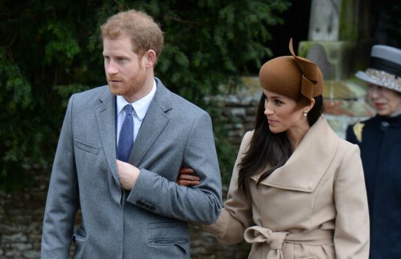 Meghan Markle 'won't like' Sasha Walpole's revelations she was Harry's first lover, royal expert claims | The Sun