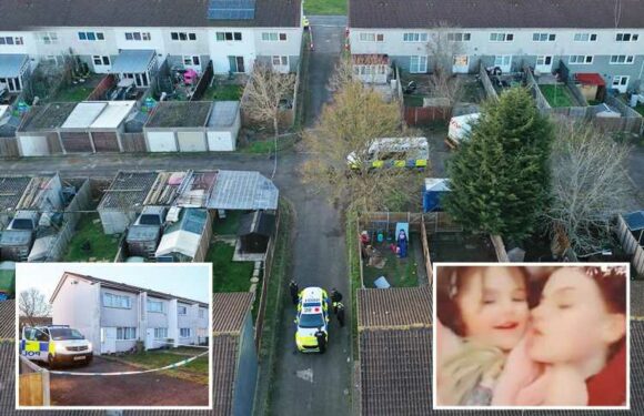 Milton Keynes dog attack – Tragedy as little Alice Stones, 4, is mauled to death while horrifying screams heard | The Sun