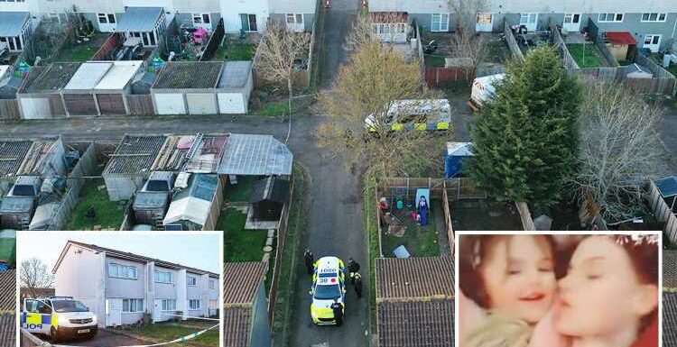 Milton Keynes dog attack – Tragedy as little Alice Stones, 4, is mauled to death while horrifying screams heard | The Sun