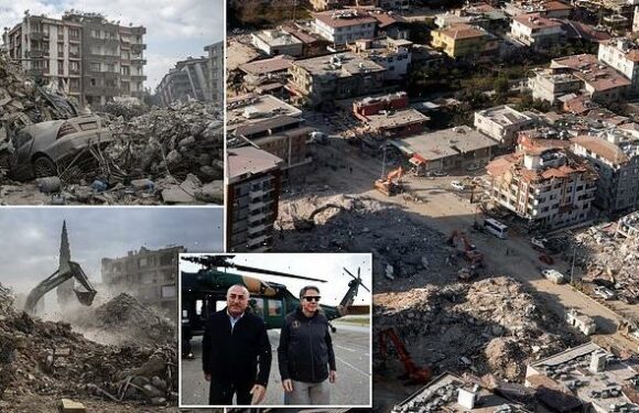 More than 21,000 people died in one Turkish province amid quakes