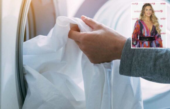 Mrs Hinch cleaning fans reveal the 30p buy to make your white bedding sparkle again instantly | The Sun