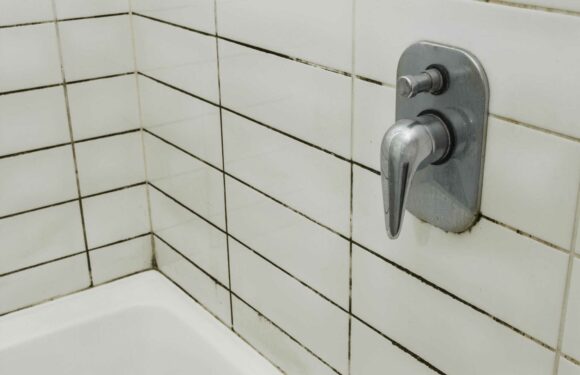 Mrs Hinch fans rave about 95p trick that ‘totally obliterates’ black mould from grout & there’s no scrubbing involved | The Sun