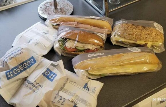 Mum amazed at how many goodies she managed to bag at Greggs for just under £3 – there's sarnies for whole family | The Sun