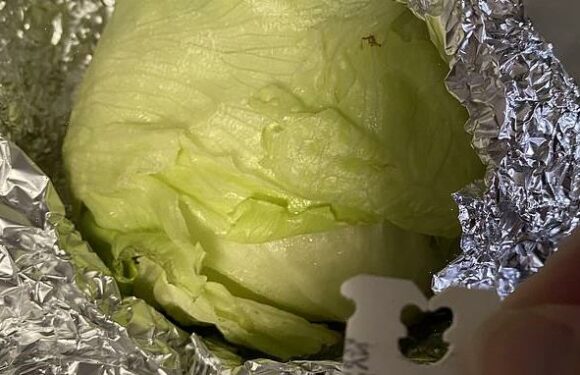 Mum shares her surprising trick to keep vegetables fresh for MONTHS