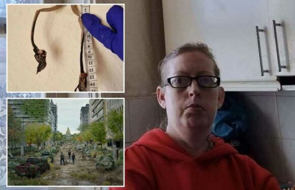 My flat is being invaded by huge mushrooms – it's like living in The Last of Us | The Sun