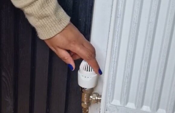 My vent trick will keep your home warmer on chilly nights – and it only takes seconds | The Sun
