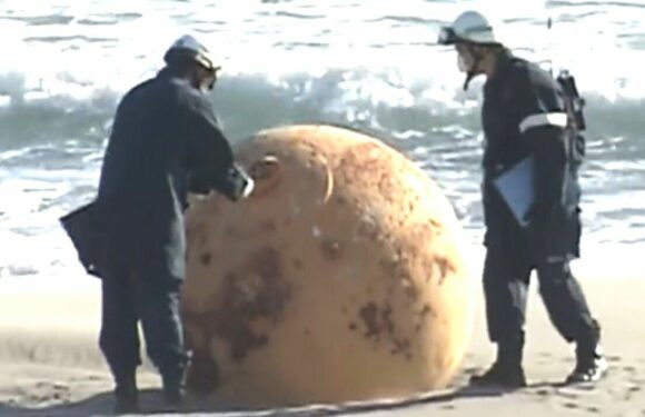 Mysterious metal ball washes up on beach in Japan