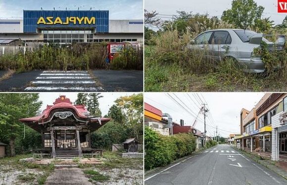 New pictures show Fukushima's recovery since 2011 nuclear disaster