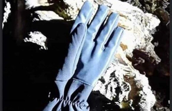 Nicola Bulley cops give update on 'stained' glove found near where mum vanished in field | The Sun