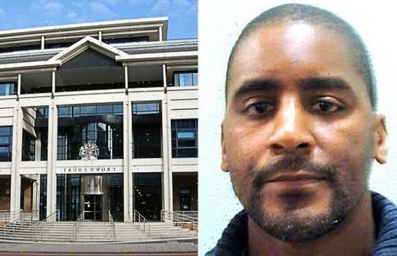 'Night Bus beast' serial sex offender may be freed from jail