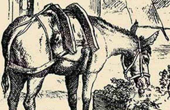Only people with high IQ level can spot horse riders face hidden in 15 seconds