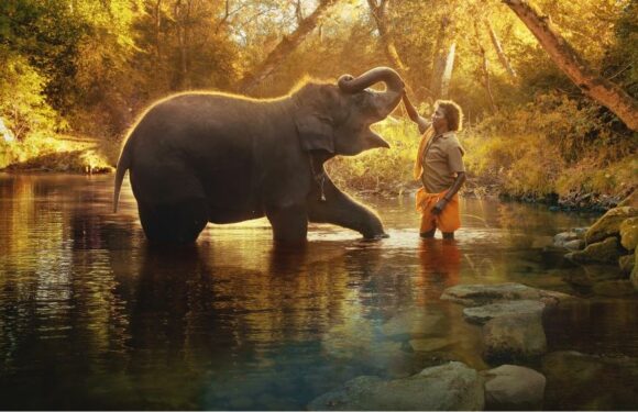 Oscar-Nominated Doc Shorts ‘Elephant Whisperer,’ ‘Haulout’ Tackle Climate Change