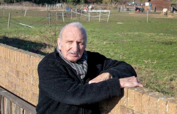 Our idyllic village will be ruined when council builds 950 new homes – it will turn us into the new Milton Keynes | The Sun