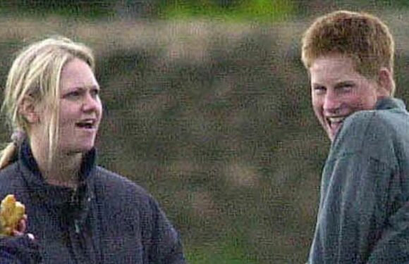 Owners of field where Prince Harry lost virginity ‘could put a blue plaque up’
