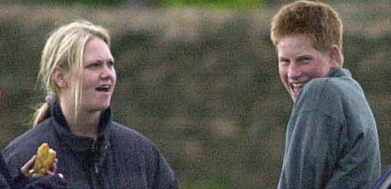 Owners of field where Prince Harry lost virginity ‘could put a blue plaque up’