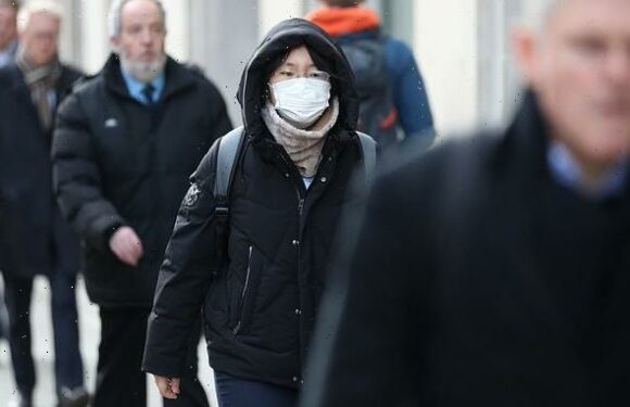 PETER HITCHENS: If masks are pointless, will I get an apology?