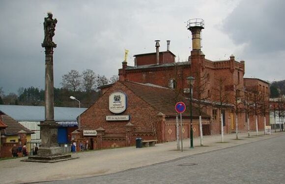 POWDERED beer created by German firm could slash the cost of a pint
