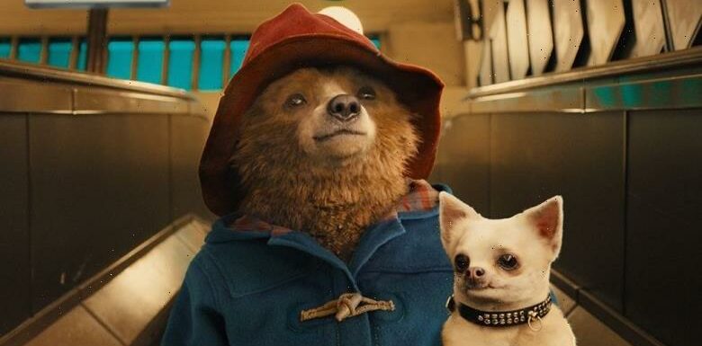 Paddington 3 Is Still Up in the Air, Says Ben Whishaw: Its Gone Silent