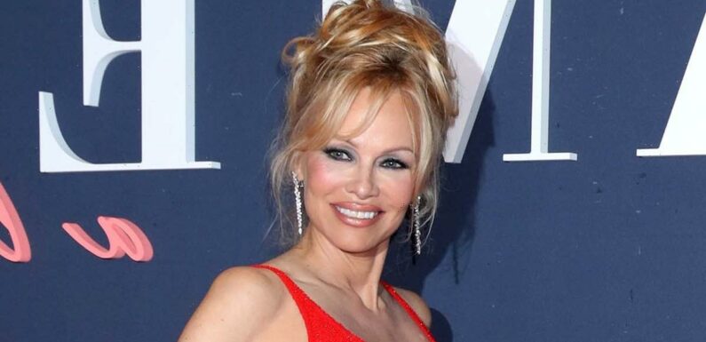 Pamela Anderson Used 'A Pair of Panties' to Style Her Iconic '90s Updo