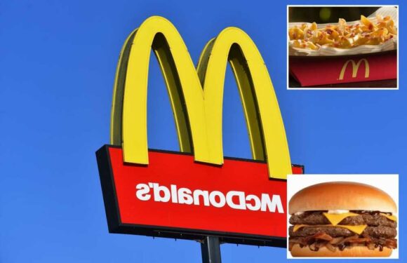 People have just discovered McDonald's secret menu – 8 DIY meals to try including loaded fries and McFlurry coke float | The Sun