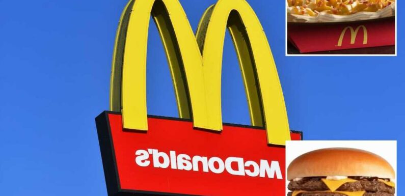 People have just discovered McDonald's secret menu – 8 DIY meals to try including loaded fries and McFlurry coke float | The Sun