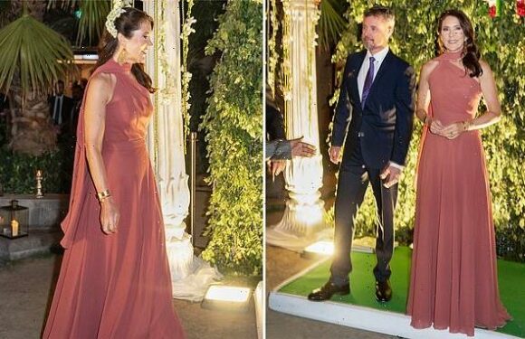 Princess Mary shows off her toned physique in stunning gown in India