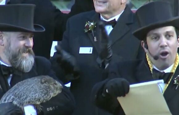 Punxsutawney Phil Predicts 6 More Weeks of Winter on Groundhog Day