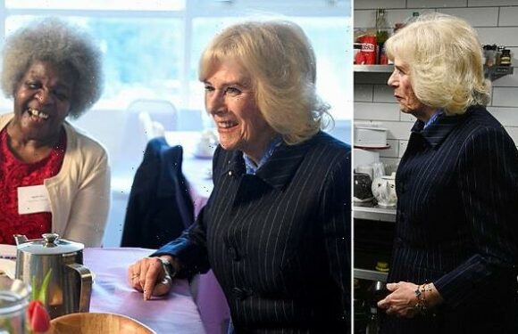 Queen Consort Camilla looks elegant in a navy striped outfit